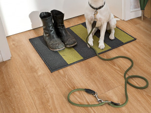 Boden mit Hund Project Floors Click Collection PW 4011